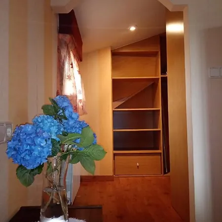 Atico Daire Pontevedra